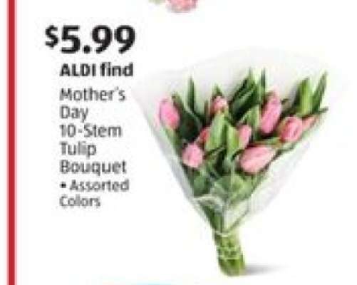 Mother's Day 10-Stem Tulip Bouquet