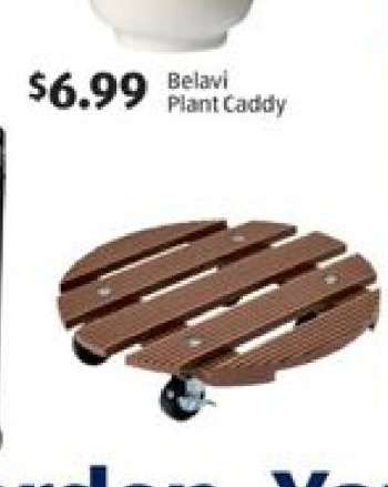 Belavi Plant Caddy