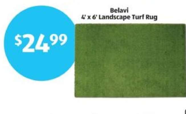 Belavi 4' x 6' Landscape Turf Rug
