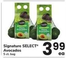 Signature Select Avocados