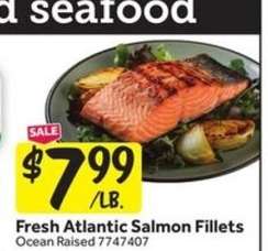 Fresh Atlantic Salmon Fillets