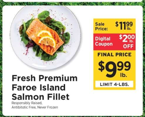 Fresh Premium Faroe Island Salmon Fillet