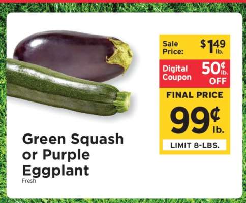 Green Squash or Purple Eggplant