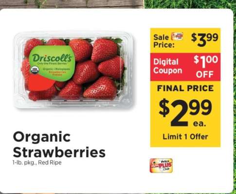 Organic Strawberries