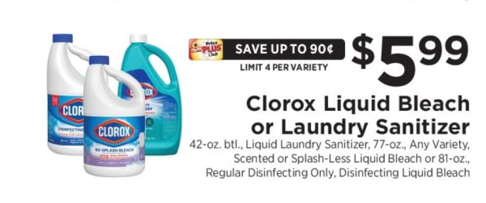Clorox Liquid Bleach or Laundry Sanitizer