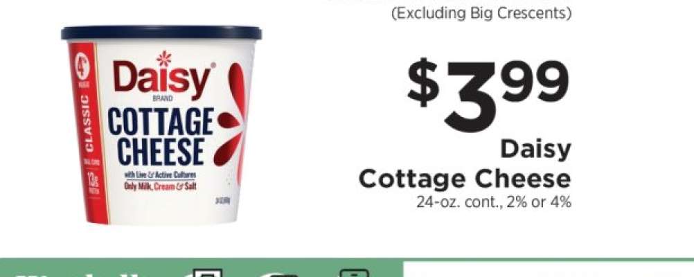 Daisy Cottage Cheese