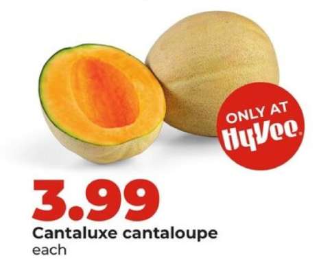 Cantaluxe cantaloupe