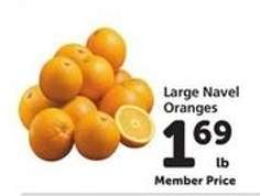 Large Navel Oranges