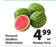 Personal Seedless Watermelon