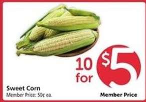 Sweet Corn