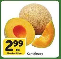 Cantaloupe