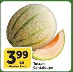 Tuscan Cantaloupe