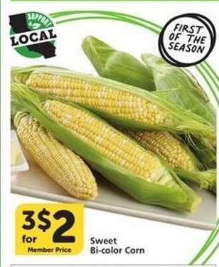 Sweet Bi-Color Corn