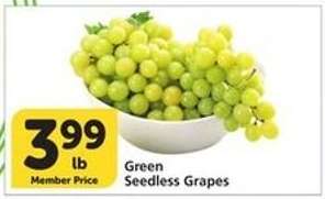Green Seedless Grapes