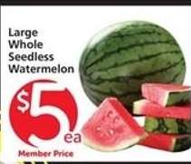 Large Whole Seedless Watermelon