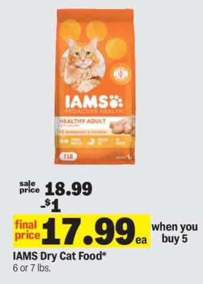 Iams Dry Cat Food