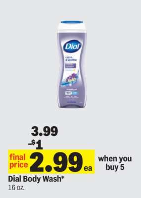 Dial Body Wash
