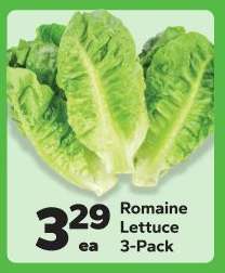 Romaine Lettuce 3-Pack