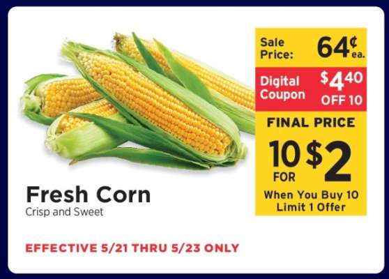 Fresh Corn