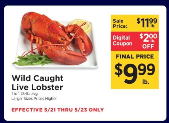 Wild Caught Live Lobster