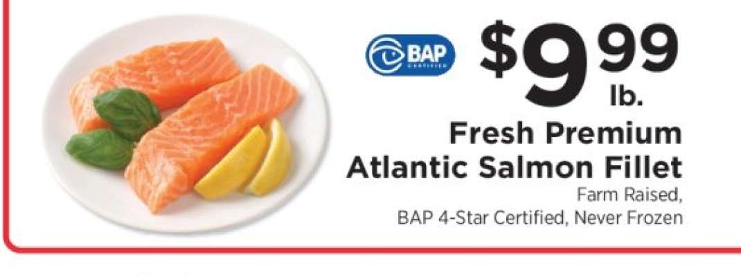 Fresh Premium Atlantic Salmon Fillet