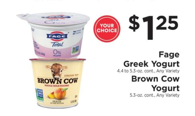Fage Greek Yogurt / Brown Cow Yogurt