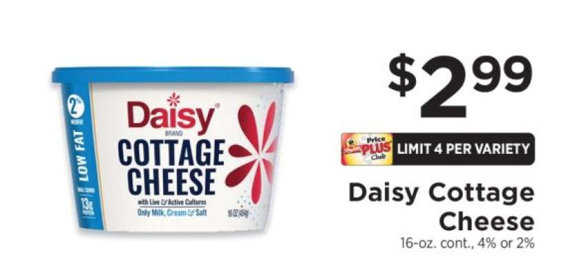 Daisy Cottage Cheese