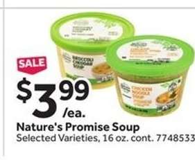 Nature's Promise Soup