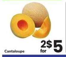 Cantaloupe