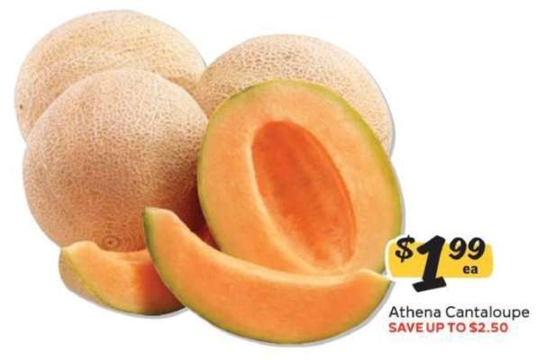 Athena Cantaloupe