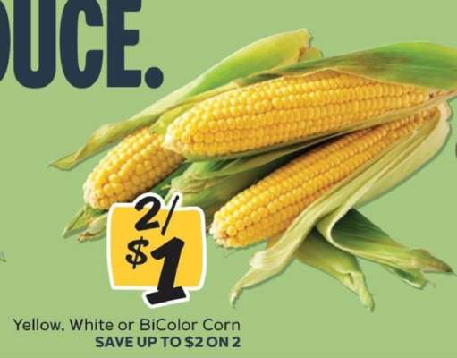Corn