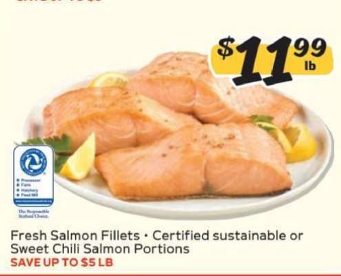 Fresh Salmon Fillets