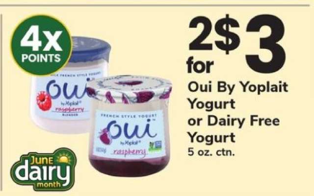 Oui By Yoplait Yogurt or Dairy Free Yogurt