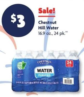 Chestnut Hill Water