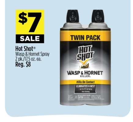 Hot Shot Wasp & Hornet Spray