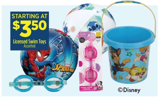 Licensed Swim Toys