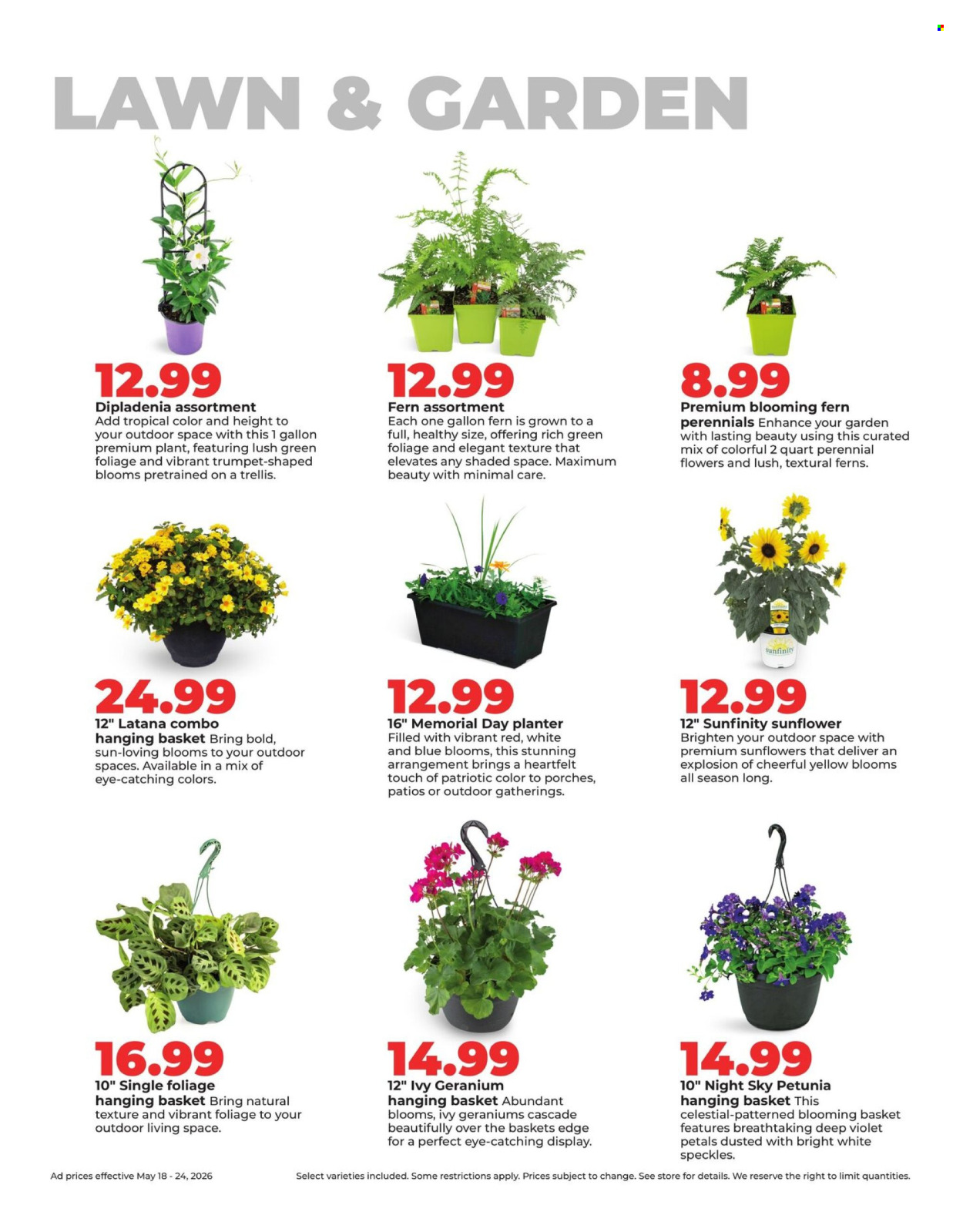 Hy-Vee ad - 05/18/2026 - 05/24/2026. Page 40