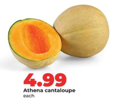 Athena Cantaloupe