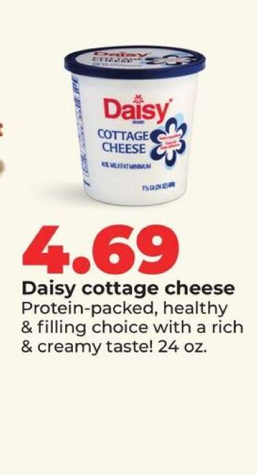 Daisy Cottage Cheese