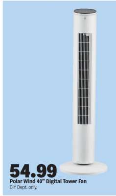 Polar Wind 40" Digital Tower Fan