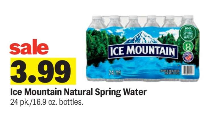 Ice Mountain Natural Spring Water