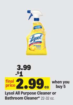 Lysol All Purpose Cleaner or Bathroom Cleaner