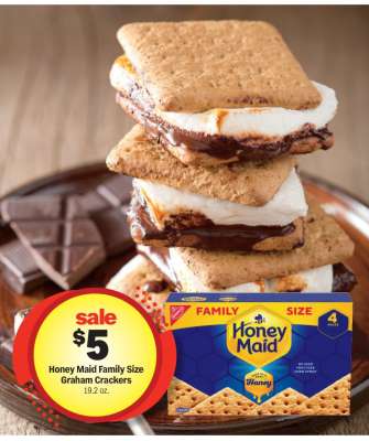 Honey Maid Family Size Graham Crackers
