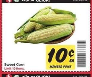 Sweet Corn