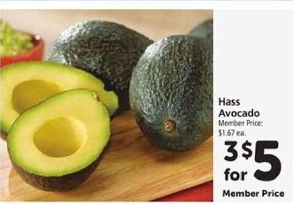 Hass Avocado