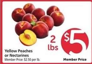 Yellow Peaches or Nectarines