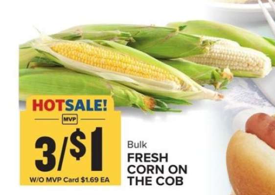 Bulk Fresh Corn on the Cob