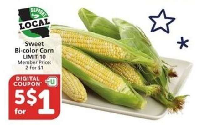 Sweet Bi-Color Corn
