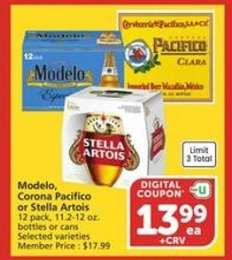 Modelo, Corona, Pacifico or Stella Artois