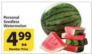 Personal Seedless Watermelon